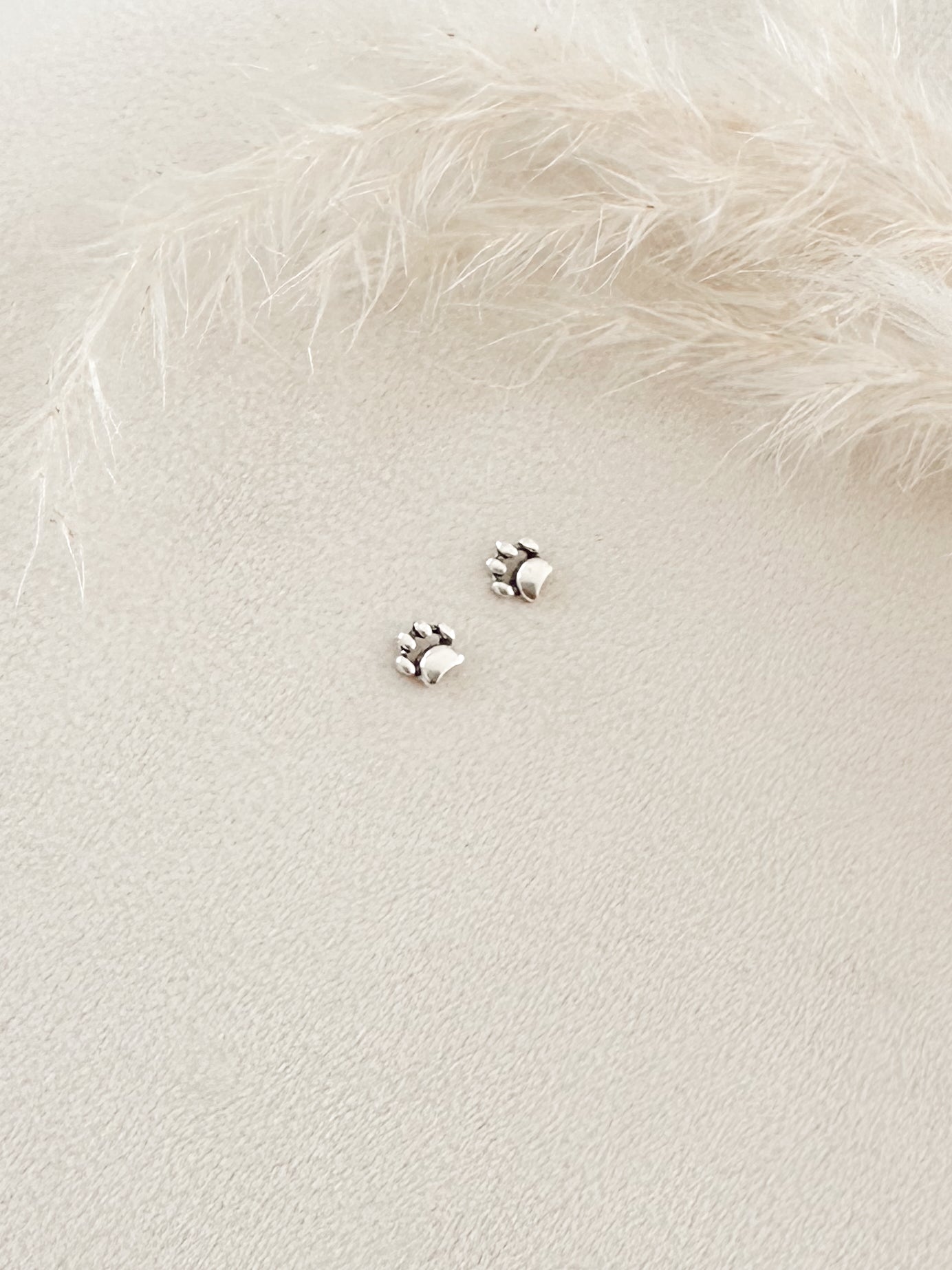 Aro Plata Patitas 23