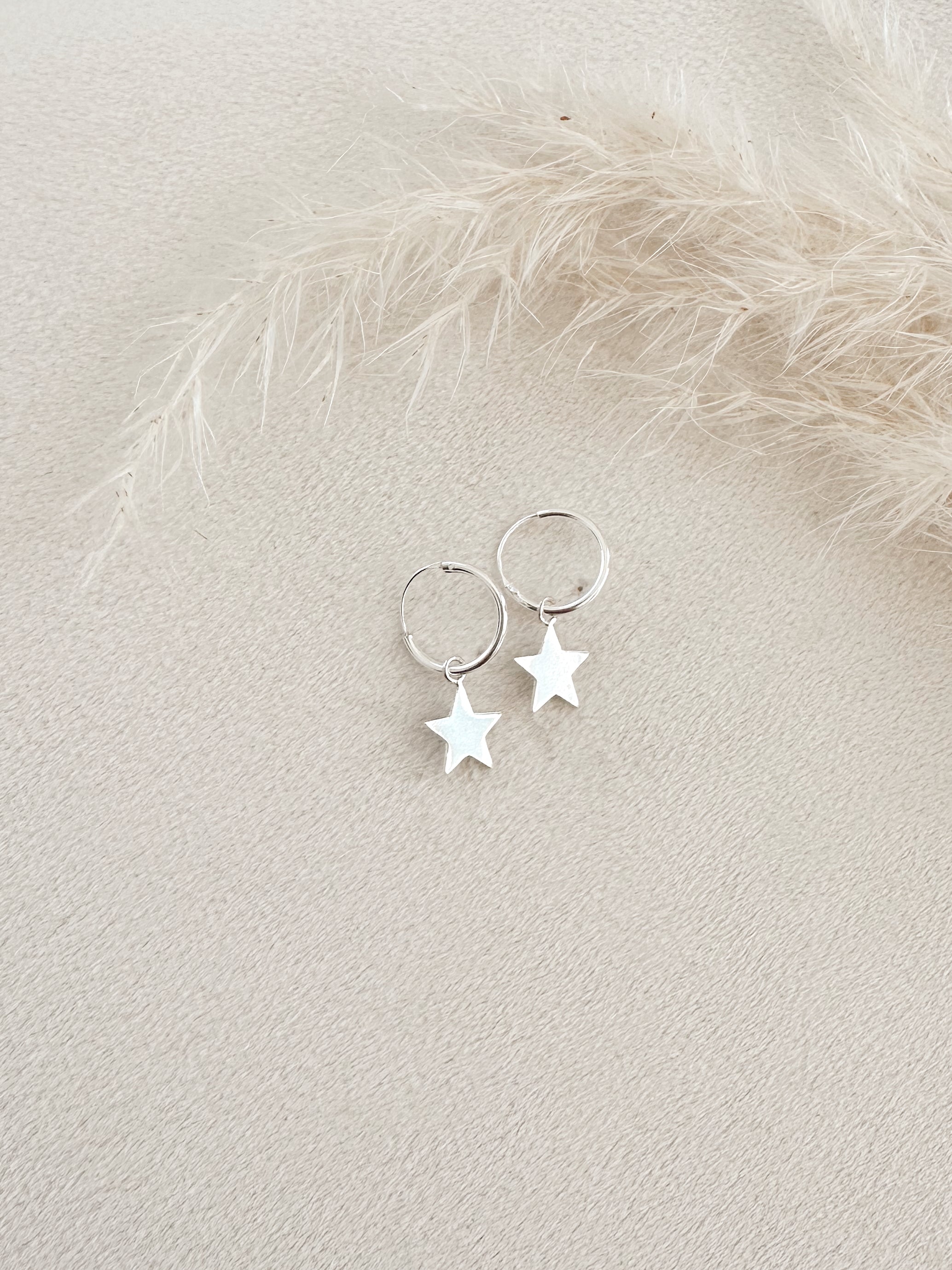 Aro Plata Estrella Colgante 25